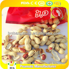 Chinese roasted red skin peanuts for sale